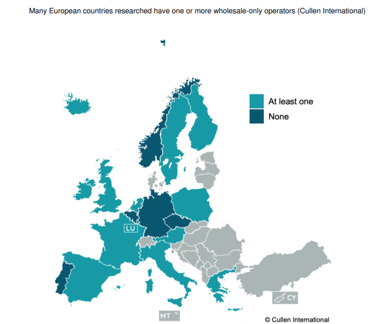 The main wholesaleonly initiatives for fibre deployment in the